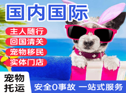 南京禄口航空托运国际宠物托运 【国